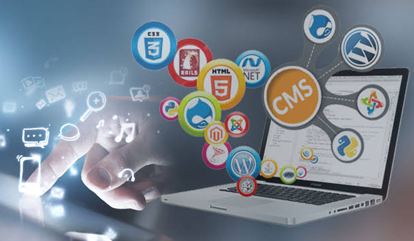 CMS Web Development